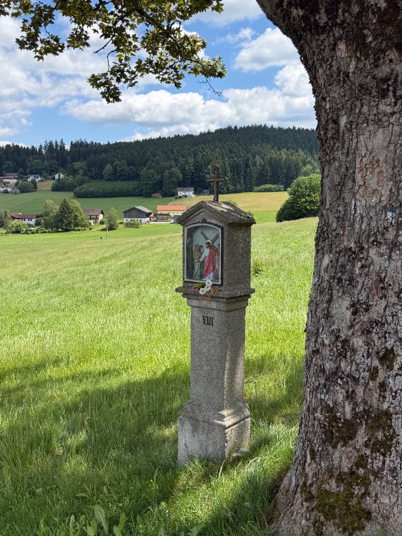 Aus dem Tritt? Einfach losgehen. – Bild 3