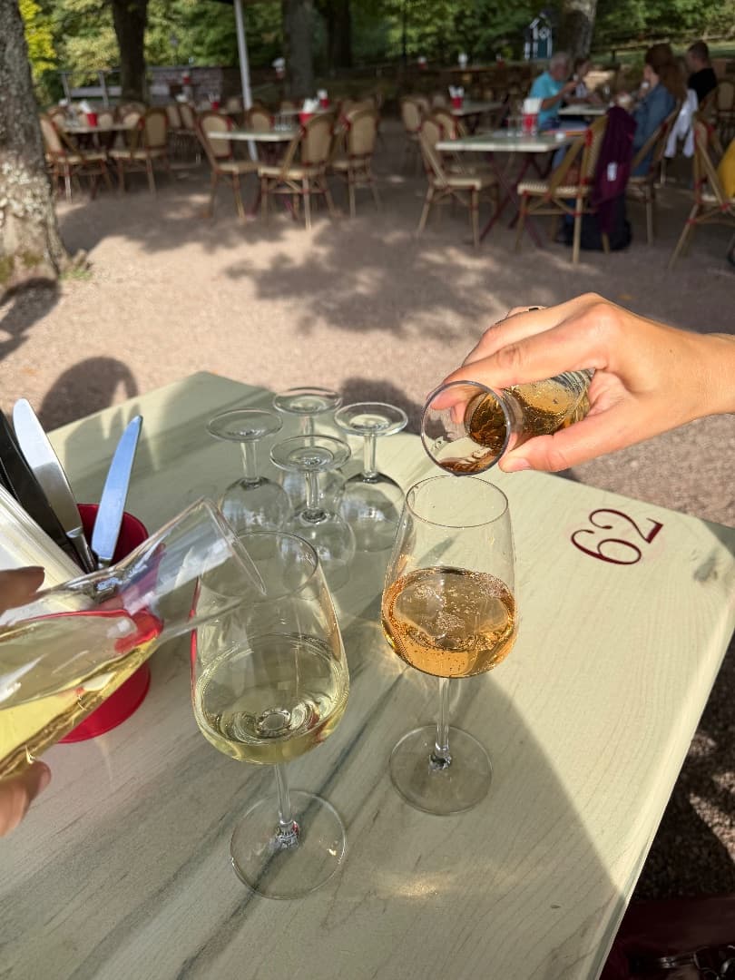 Das Glas Wein? Ich trinke es noch — nur noch wenn ich wirklich will. – Bild 2